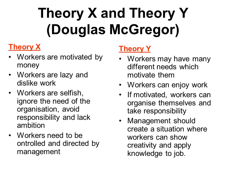 The x theory and y theory essay